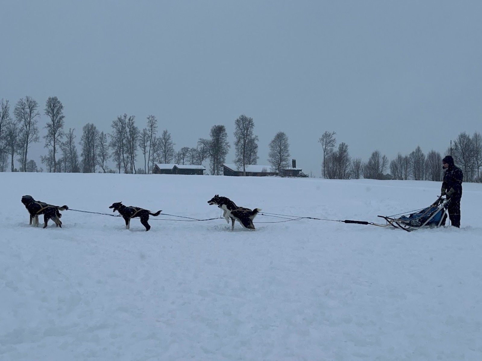 cropped_upload_4au4CXD