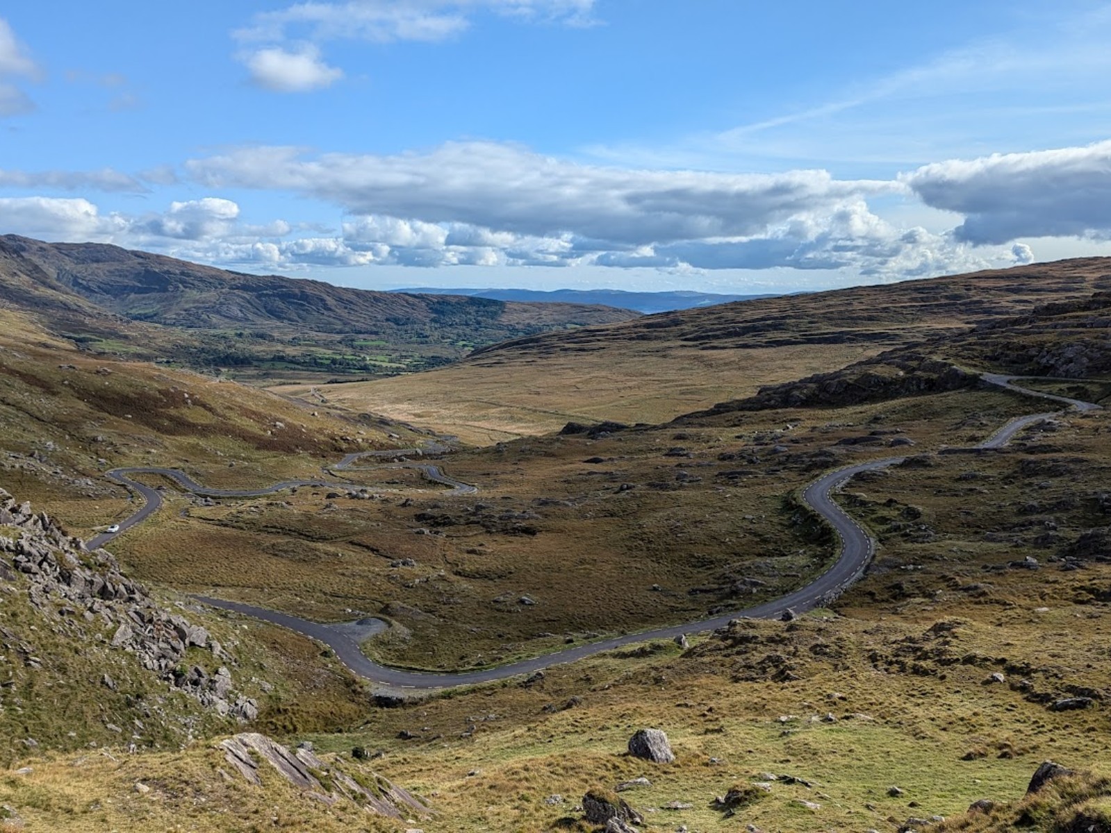 PXL_20241011_124138669