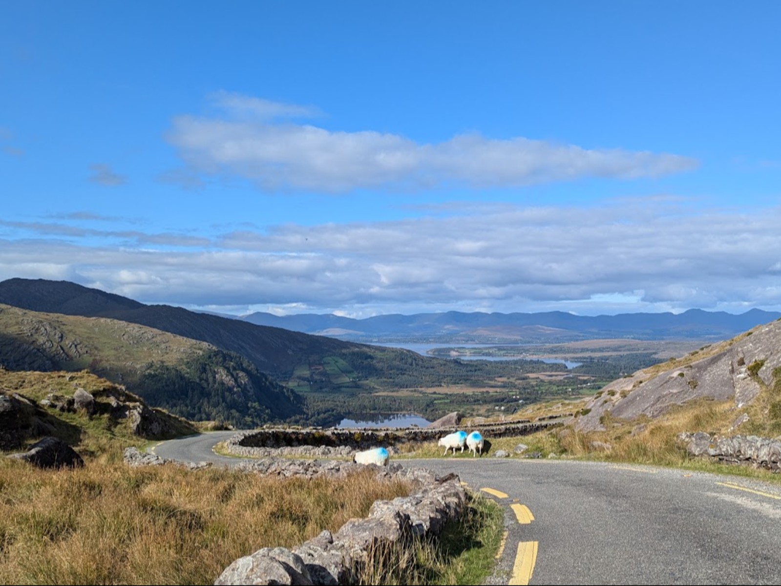 PXL_20241011_125635901