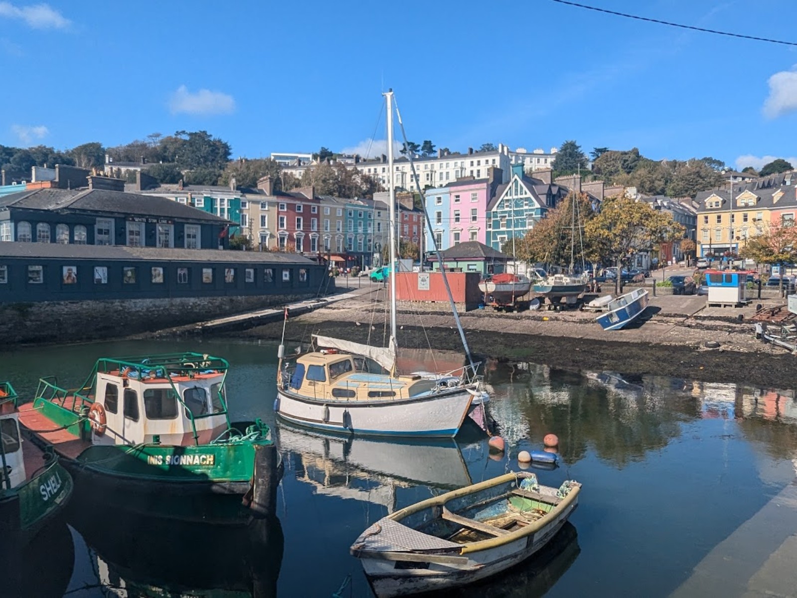 PXL_20241010_115526996