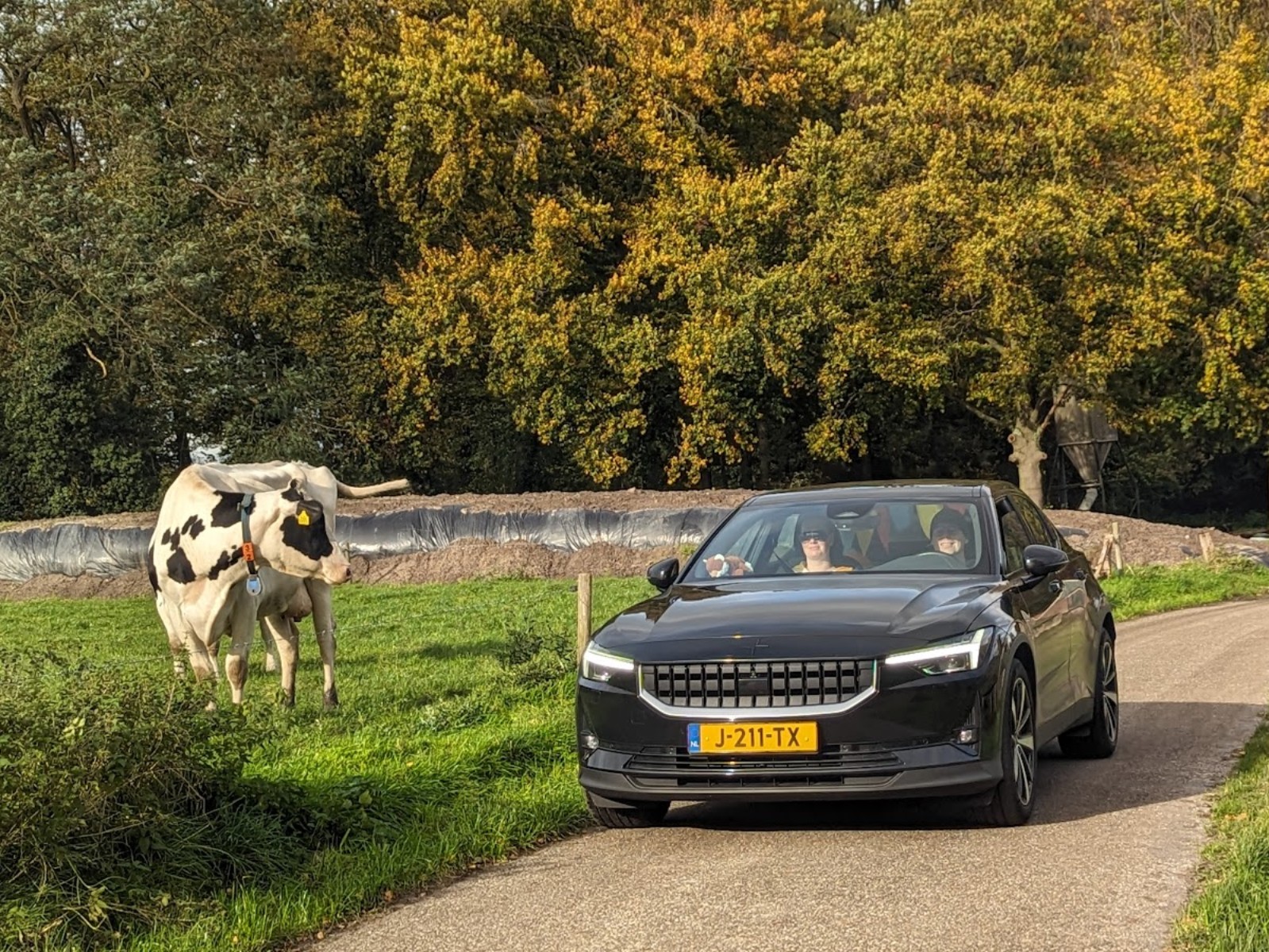 cropped_upload_6qw8boh