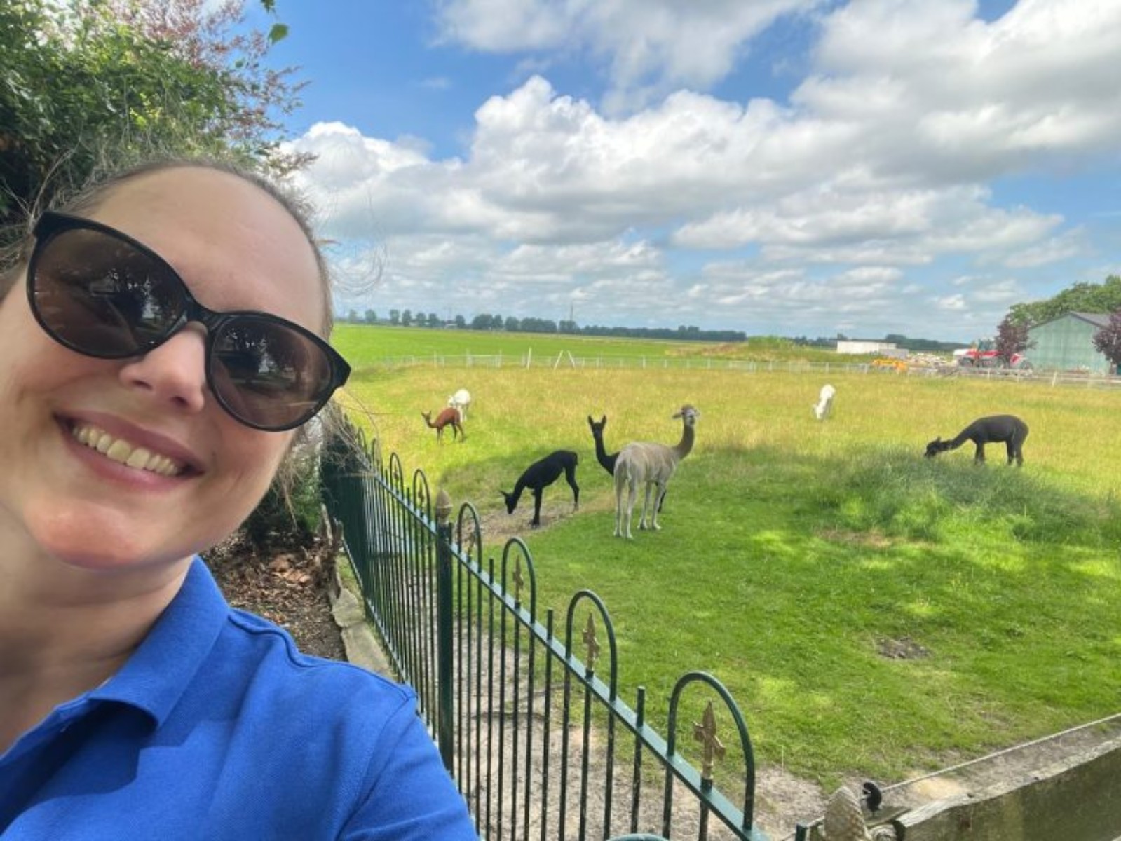 cropped_upload_C7PVlfB