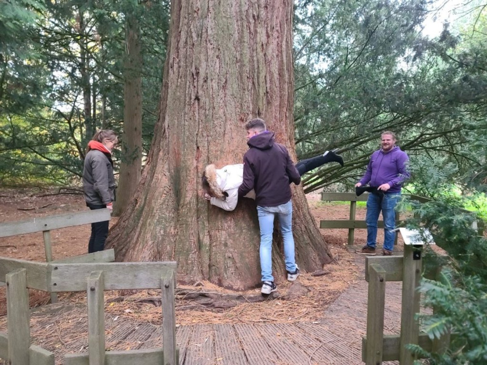 cropped_upload_ulTAsnz